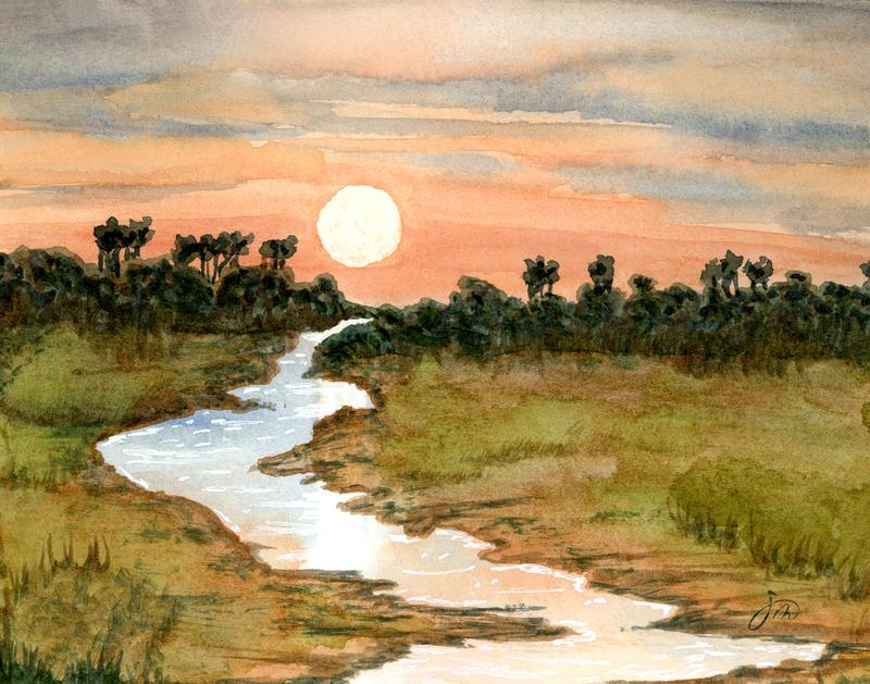 Wetlands Stream of Light