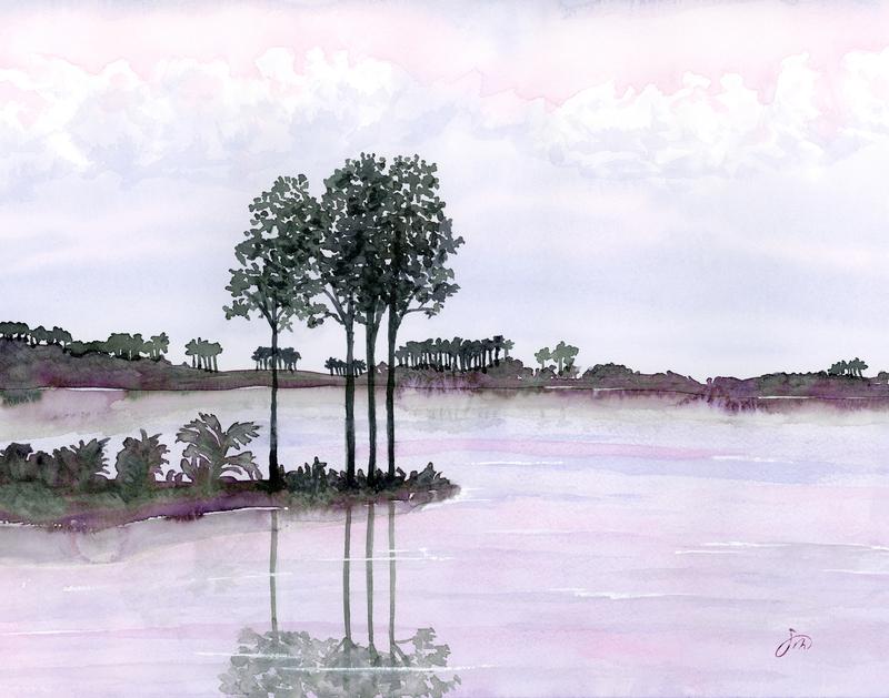Florida Wetlands View