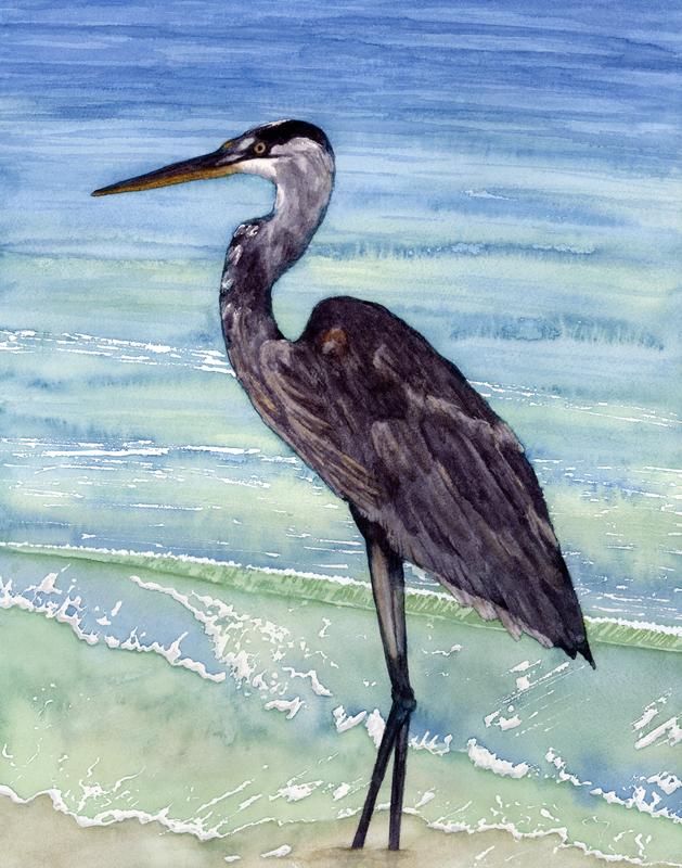 Great Blue Heron