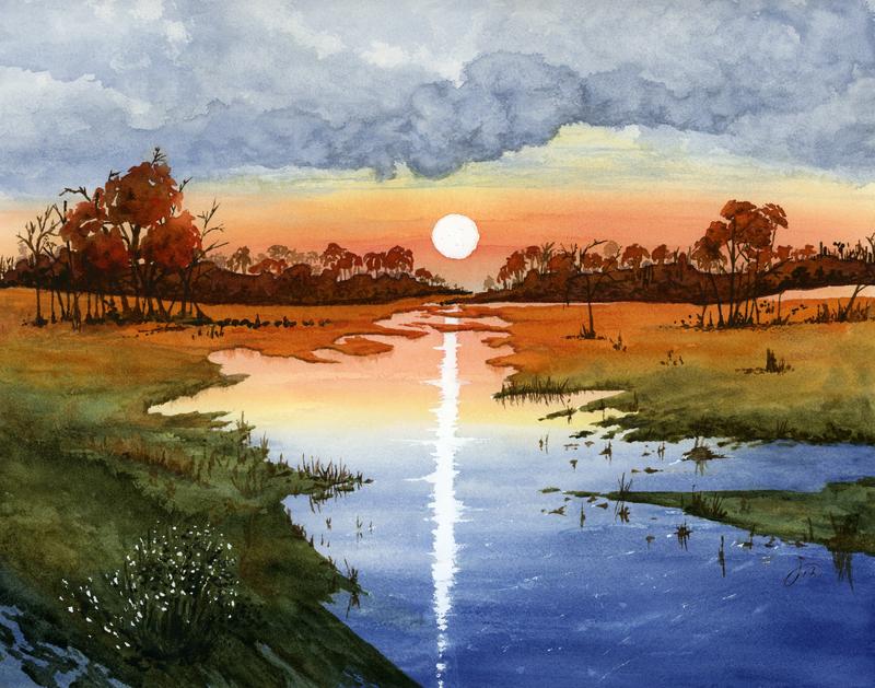 Glowing Florida Wetlands